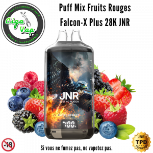 Puff Mix Fruits Rouges Falcon X 28000 JNR