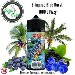 E-liquide Fizzy Blue Burst 100ml Mohawk & Co