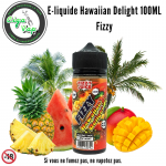 E-liquide Hawaiian Delight 100ml – Fizzy Juice – Mohawk & Co
